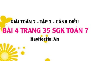 Giải bài 4 trang 35 Toán 7 Tập 1 SGK Cánh Diều